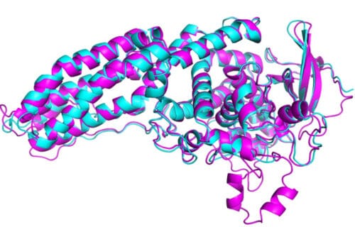 딥 마인드 인공지능
