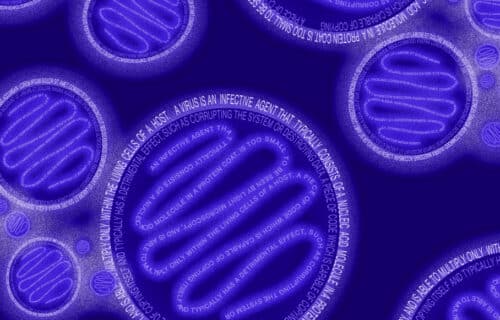 인공지능 코로나