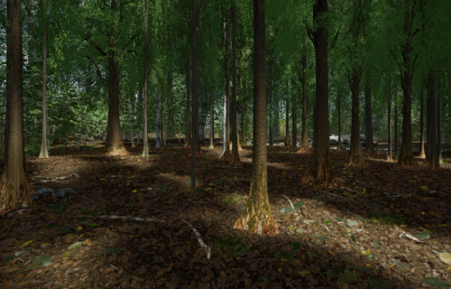 이제 VR에서 삼림욕을 즐길 수 있을지도 모른다