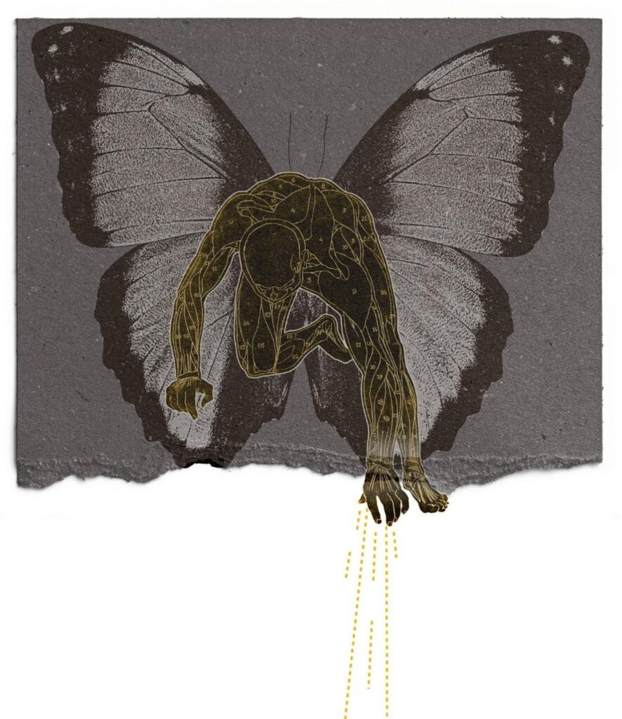 나비, 나방과 나비, 곤충, 무척추 동물이(가) 표시된 사진

AI 생성 콘텐츠는 정확하지 않을 수 있습니다.